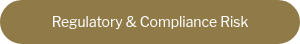 <div style="text-align: center;">Regulatory &amp; Compliance Risk</div>