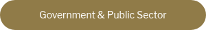 <div style="text-align: center;">Government &amp; Public Sector</div>