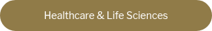 <div style="text-align: center;">Healthcare &amp; Life Sciences</div>