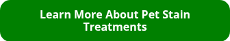 Learn More About Pet Stain Treatments