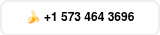 <p>�� +1 573 464 3696</p>