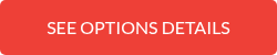 SEE OPTIONS DETAILS